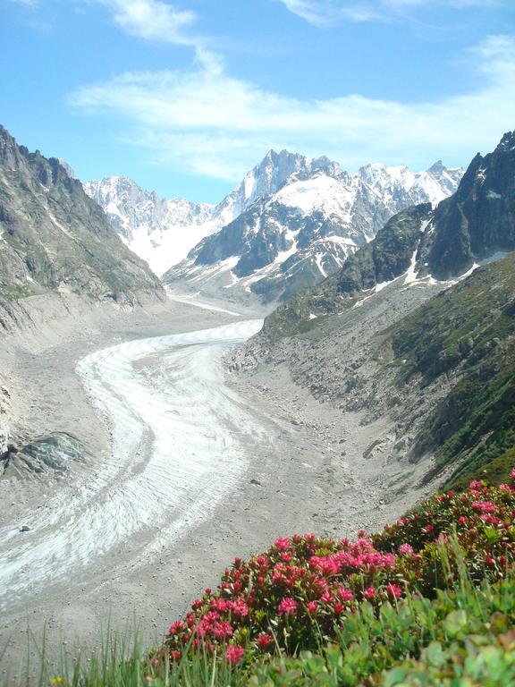 Les Arolles * Chamonix Mont Blanc